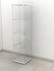 Staklena vitrina tip 10